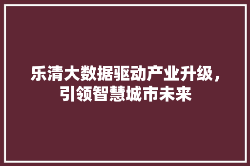乐清大数据驱动产业升级，引领智慧城市未来