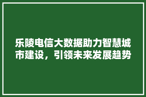 乐陵电信大数据助力智慧城市建设，引领未来发展趋势
