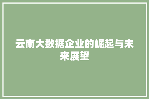 云南大数据企业的崛起与未来展望 云南大数据企业的崛起与未来展望