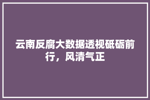 云南反腐大数据透视砥砺前行，风清气正