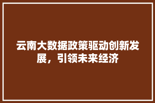 云南大数据政策驱动创新发展，引领未来经济