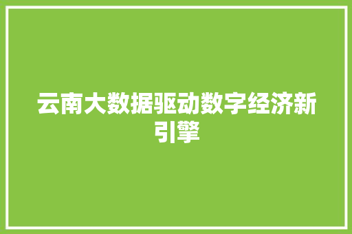 云南大数据驱动数字经济新引擎