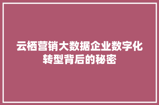 云栖营销大数据企业数字化转型背后的秘密