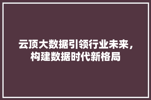 云顶大数据引领行业未来，构建数据时代新格局