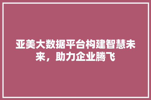 亚美大数据平台构建智慧未来，助力企业腾飞 电脑配置