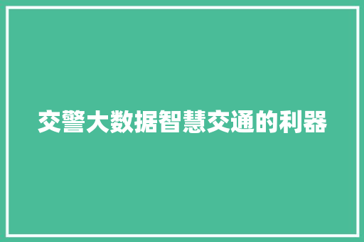 交警大数据智慧交通的利器