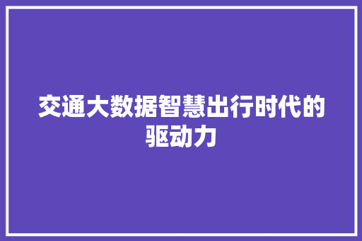 交通大数据智慧出行时代的驱动力