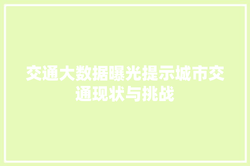 交通大数据曝光提示城市交通现状与挑战