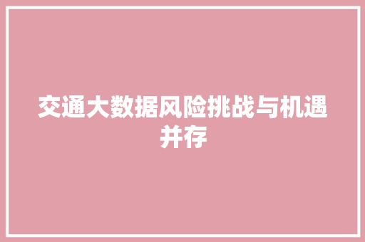 交通大数据风险挑战与机遇并存