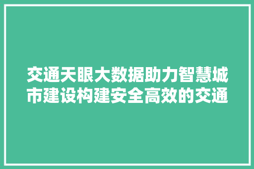 交通天眼大数据助力智慧城市建设构建安全高效的交通网络 网络技术