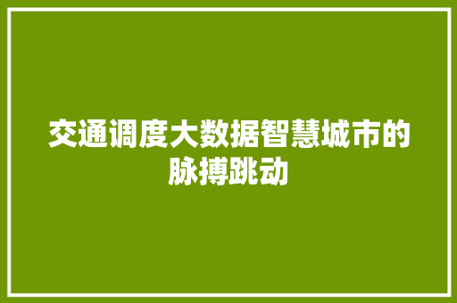 交通调度大数据智慧城市的脉搏跳动 网络技术