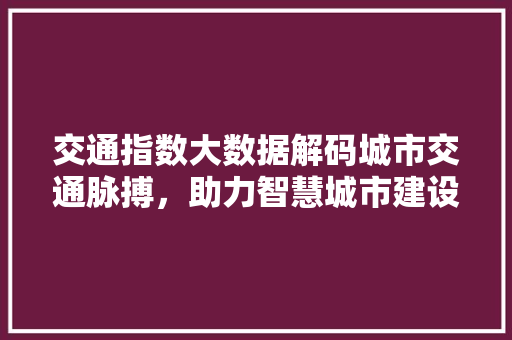 交通指数大数据解码城市交通脉搏，助力智慧城市建设 电脑配置
