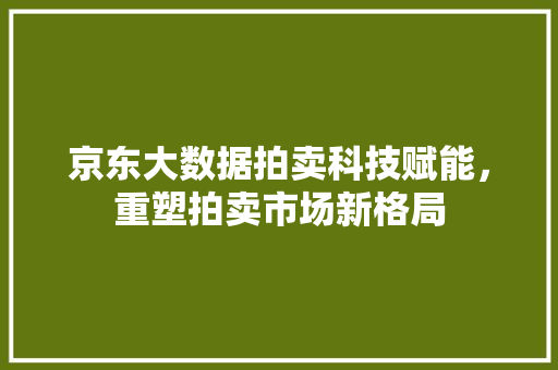 京东大数据拍卖科技赋能，重塑拍卖市场新格局 电脑基础