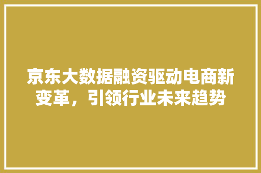 京东大数据融资驱动电商新变革，引领行业未来趋势 编程语言