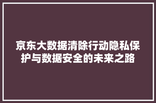 京东大数据清除行动隐私保护与数据安全的未来之路 网络技术