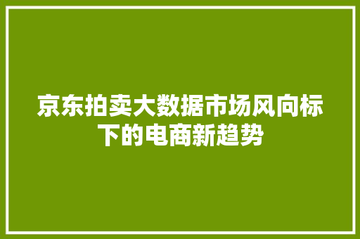 京东拍卖大数据市场风向标下的电商新趋势 操作系统