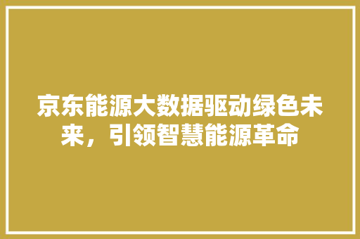 京东能源大数据驱动绿色未来，引领智慧能源革命