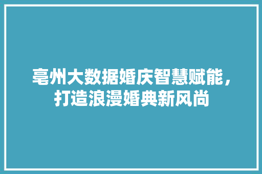 亳州大数据婚庆智慧赋能，打造浪漫婚典新风尚 操作系统