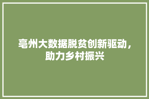 亳州大数据脱贫创新驱动，助力乡村振兴 操作系统