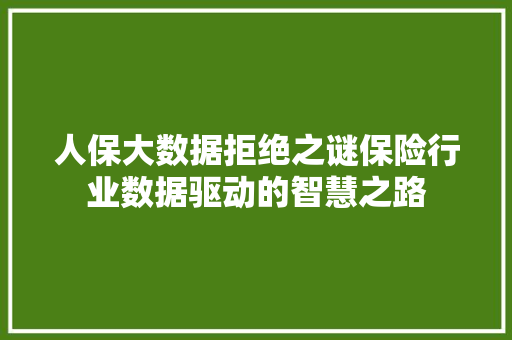 人保大数据拒绝之谜保险行业数据驱动的智慧之路 电脑故障维修 人保大数据拒绝之谜保险行业数据驱动的智慧之路 电脑故障维修