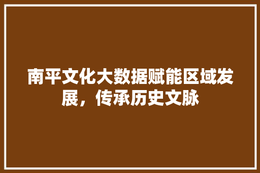 南平文化大数据赋能区域发展，传承历史文脉