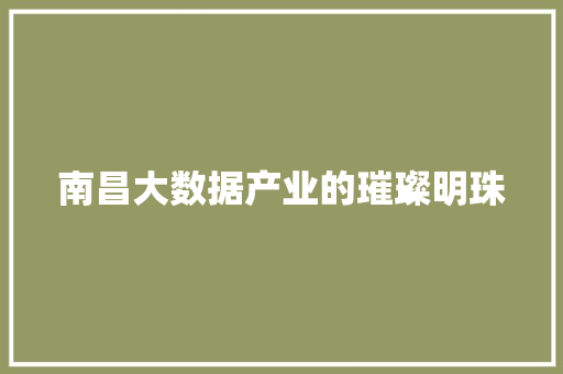 南昌大数据产业的璀璨明珠 电脑配置