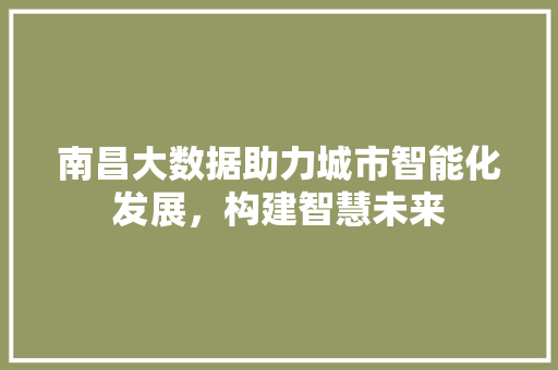南昌大数据助力城市智能化发展,构建智慧未来 编程语言 南昌大数据助力城市智能化发展,构建智慧未来 编程语言