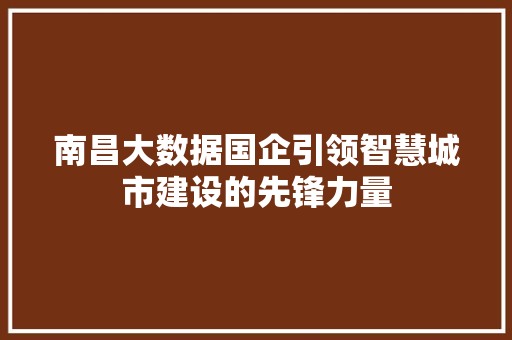 南昌大数据国企引领智慧城市建设的先锋力量 编程语言 南昌大数据国企引领智慧城市建设的先锋力量 编程语言