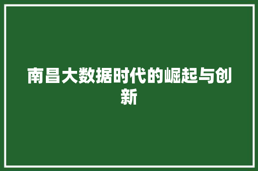 南昌大数据时代的崛起与创新
