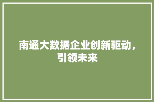 南通大数据企业创新驱动，引领未来