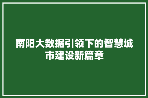 南阳大数据引领下的智慧城市建设新篇章