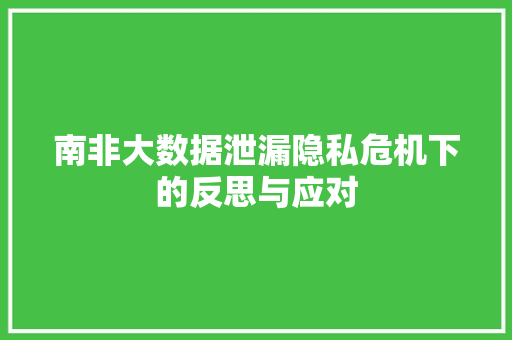 南非大数据泄漏隐私危机下的反思与应对 南非大数据泄漏隐私危机下的反思与应对