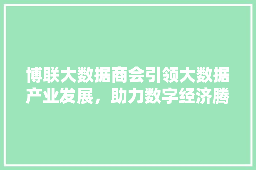 博联大数据商会引领大数据产业发展,助力数字经济腾飞 博联大数据商会引领大数据产业发展,助力数字经济腾飞
