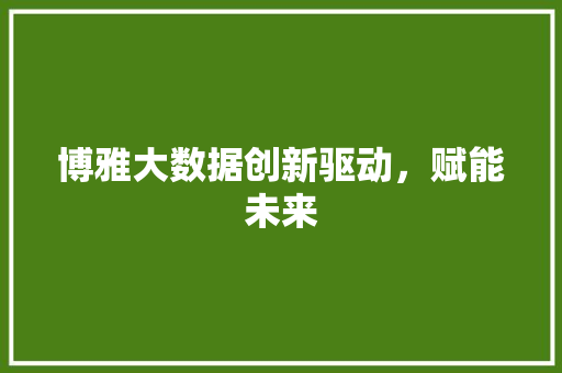 博雅大数据创新驱动,赋能未来 博雅大数据创新驱动,赋能未来