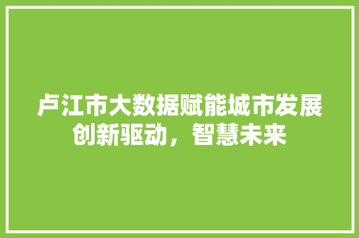 卢江市大数据赋能城市发展创新驱动，智慧未来