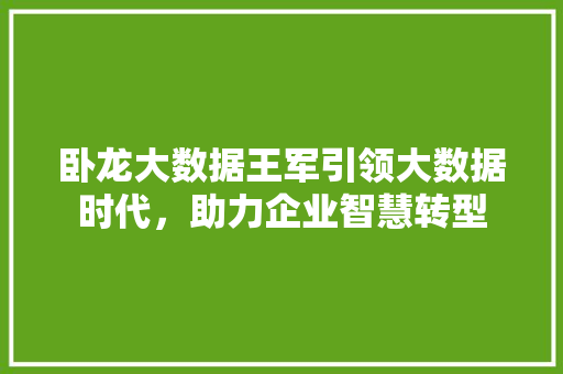 卧龙大数据王军引领大数据时代,助力企业智慧转型 卧龙大数据王军引领大数据时代,助力企业智慧转型