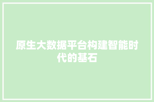 原生大数据平台构建智能时代的基石