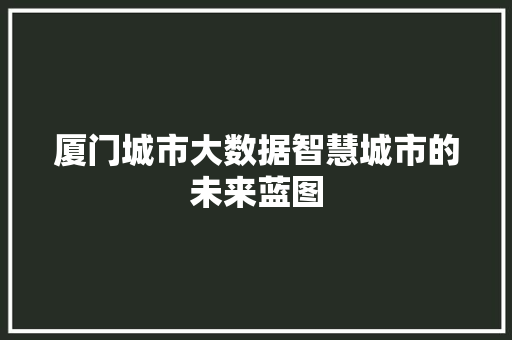 厦门城市大数据智慧城市的未来蓝图 电脑配置