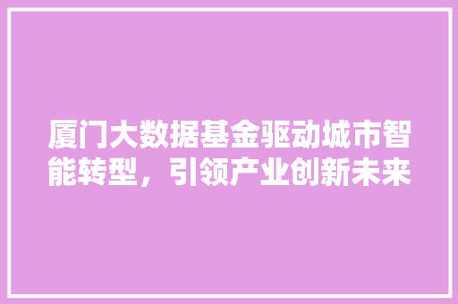 厦门大数据基金驱动城市智能转型，引领产业创新未来 操作系统