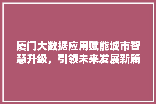 厦门大数据应用赋能城市智慧升级，引领未来发展新篇章 电脑基础