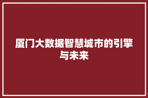 厦门大数据智慧城市的引擎与未来 网络技术