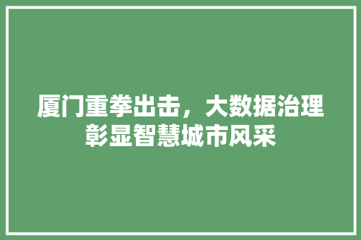 厦门重拳出击，大数据治理彰显智慧城市风采