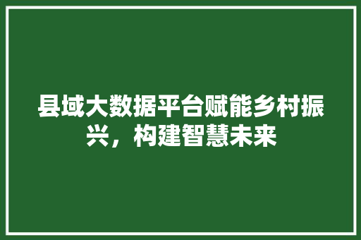县域大数据平台赋能乡村振兴，构建智慧未来