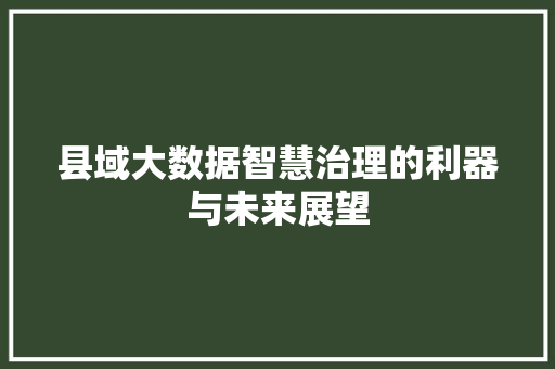 县域大数据智慧治理的利器与未来展望 操作系统
