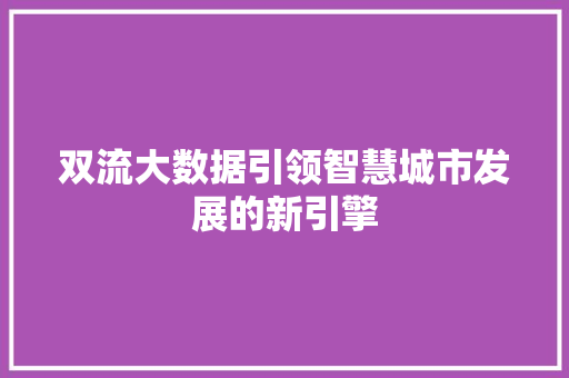双流大数据引领智慧城市发展的新引擎