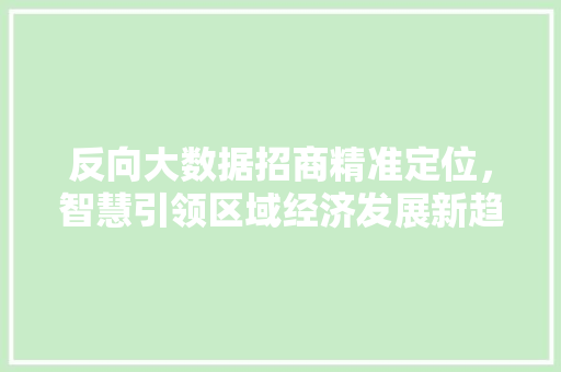 反向大数据招商精准定位，智慧引领区域经济发展新趋势 电脑故障维修