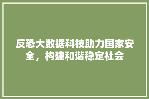 反恐大数据科技助力国家安全，构建和谐稳定社会 网络技术