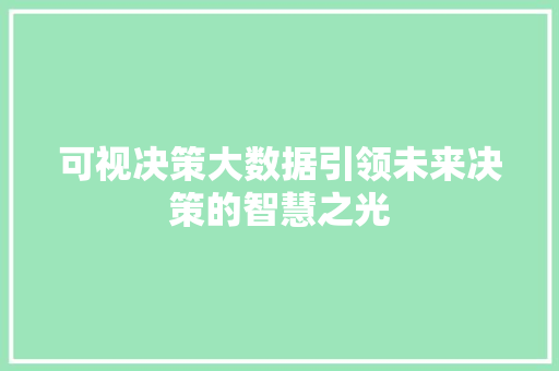 可视决策大数据引领未来决策的智慧之光