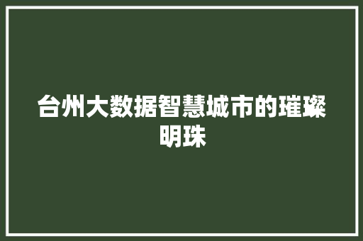 台州大数据智慧城市的璀璨明珠