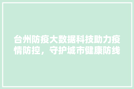 台州防疫大数据科技助力疫情防控，守护城市健康防线